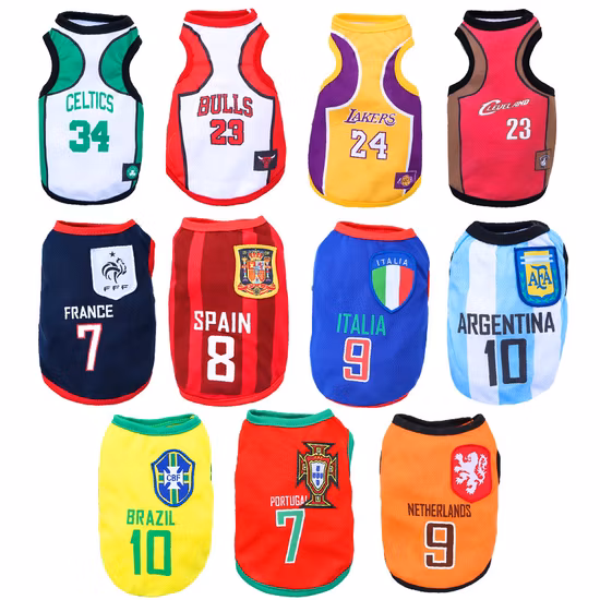 Custom-Sized U Channels: High-Quality Alloy Structural Steel at Factory-Direct Prices