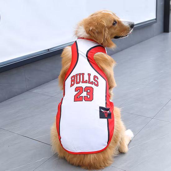 Custom-Sized U Channels: High-Quality Alloy Structural Steel at Factory-Direct Prices